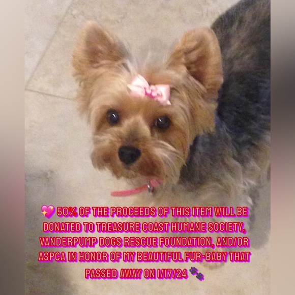 Yorkshire Terrier Art Poster Canvas Painting Frameless - Picture 7 of 7